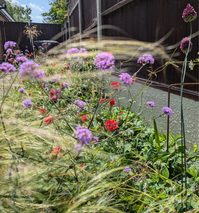 Planting Schemes